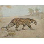 Wardle, Arthur London 1864 - 1949 ebd., britischer Maler. "Leopard", Darstellung des Tieres durch