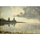 PAINTER OF LAKE CONSTANCE 20th century Landscape on the Shores of Lake Constance. Oil on