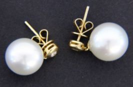 A PAIR OF PEARL STUD EARRINGS 750/000 yellow gold with South Sea pearls of approx. 12 mm and