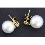 A PAIR OF PEARL STUD EARRINGS 750/000 yellow gold with South Sea pearls of approx. 12 mm and