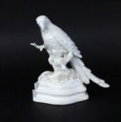 A PARROT Nymphenburg, 20th century White glazed porcelain. Design by Dominikus Auliczek.