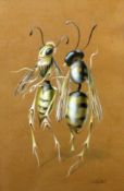 FALLER, LEO Freiburg 1902 - 1969 Karlsruhe Pair of Dancing Bees. Watercolour, signed. 31 x