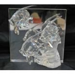 A Swarovski Crystal Tableau, Harmony 2007 Wonders of the Sea with mirror back, 19.5cm by 19.5cm