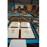 SET OF 4 FRAMED BOTANICAL PRINTS BY FRANZ BAUER