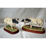 A Border Fine Arts Cattle Breeds model A1252 Belgian Blue Cow and Calf on wooden plinth and Cattle