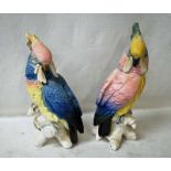 Karl Ens, two porcelain models as Cockatoos, 37cm and 35cm high, blue windmill factory mark to base