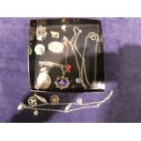 Eleven items of silver and white metal jewellery including Charm Necklace, Brooches, chain