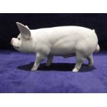 A Beswick model Pig, Middle White Boar, 18cm long