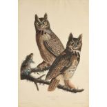 JOHN JAMES AUDUBON (American 1785-1581) AN ELEPHANT FOLIO PRINT, "Great Horned Owl," 1827-1838, hand