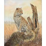 JIRI MILOUSHEVA (20th Century) A PAINTING, "Cheetah," 1990, oil on canvas, signed L/R and dated, "