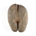 A VINTAGE COCO DE MER FERTILITY NUT, SEYCHELLES, 20TH CENTURY, a seed pod from the Lodoicea palm