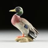 A BOEHM SCULPTURE, "Mallard Drake," UNITED STATES, hand painted bisque porcelain, number 40174,