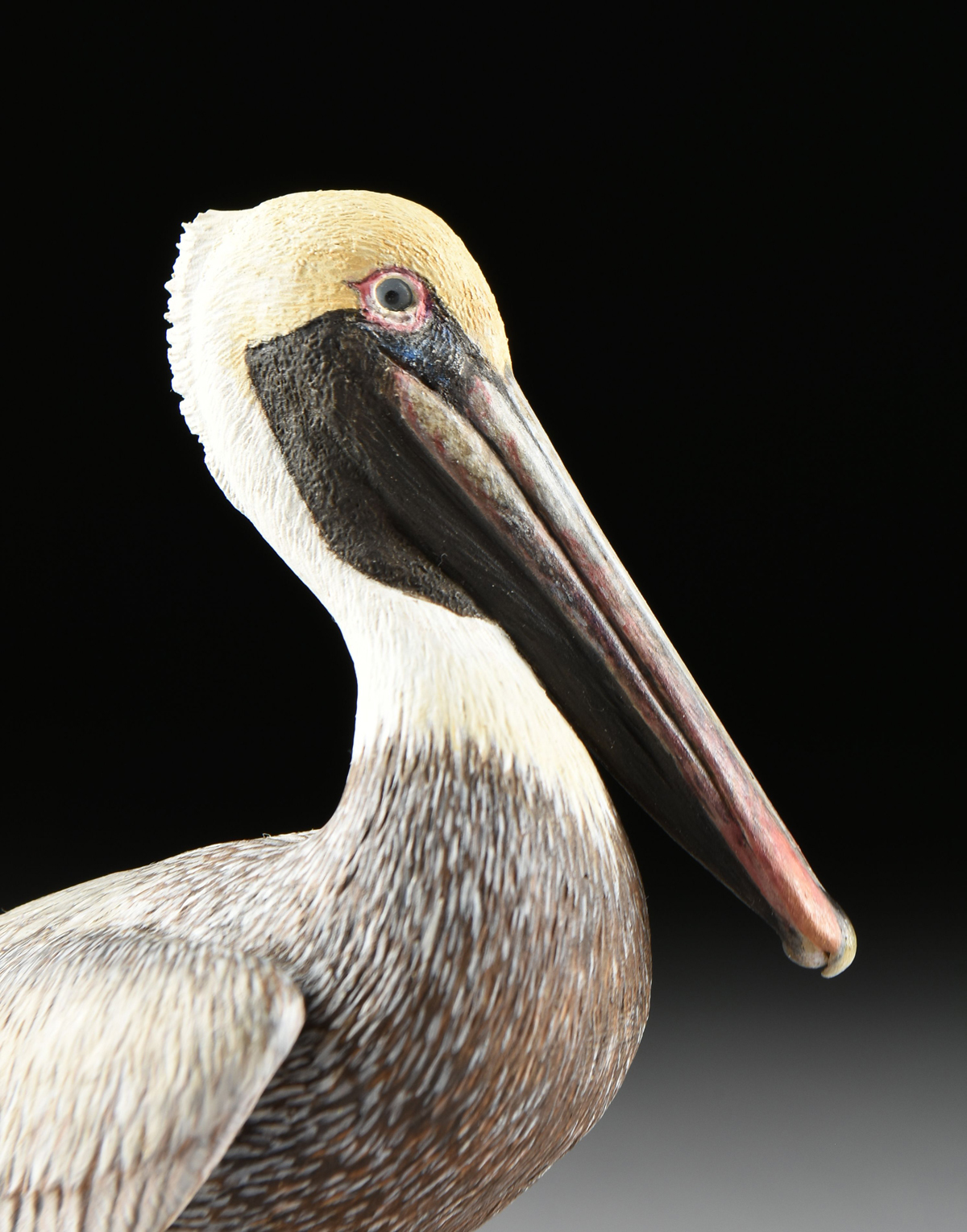 LIA RAHM (American 20th Century) A WOOD SCULPTURE, "Brown Pelican," 1984, the painted wood sculpture - Image 4 of 11