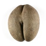 A VINTAGE COCO DE MER FERTILITY NUT, SEYCHELLES, 20TH CENTURY, a seed pod from the Lodoicea palm