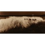 BILL WHITLIFF (American/Texas 1940-2019) A PHOTOGRAPH, "Cattle Crossing the Rio Grande, From