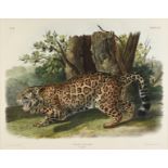 JOHN JAMES AUDUBON (American 1785-1851) A LITHOGRAPH, "Felis Onca, Linn. (The Jaguar. Female),"