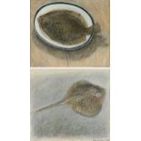 ROBERT JONES (English b. 1943) A GROUP OF TWO DRAWINGS, "Brill & Plate," 1985, AND "Ray," 1984,