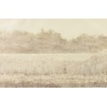 ERNEST GARTHWAITE (Canadian b. 1940) A DRAWING, "Field in Landscape," NEW YORK, 1981, copper