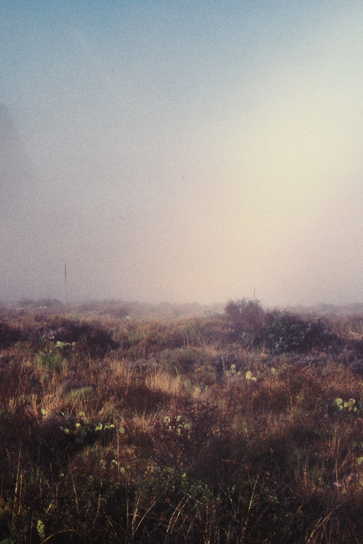 BILL WRIGHT (American/Texas 20th/21st Century) A PHOTOGRAPH, "Mountains in Morning Fog (Green - Image 4 of 11