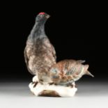 AN ENGLISH BOEHM LIMITED EDITION BONE PORCELAIN "BLACK GROUSE," SCULPTURE, SIGNED, painted