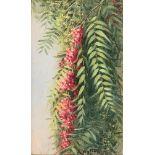 Ellen Francis Burpee Farr (American, 1840-1907) Pepper Tree