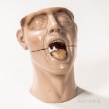 Rubber Anatomical Model of a Tongue and Nose, split model bust with aligning pins, removable tongue