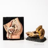 Two 20th Century Anatomical Models, hand-painted plaster didactic model of a groin, and an early han