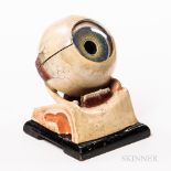 Early Plaster and Glass Anatomical Model of an Eye, five-part hand-painted model with labels, ht. 7