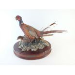 A Border Fine Arts group of two pheasants 'The Hiding Place' by Frank Di Vita - limited edition, the