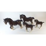 A Beswick group of two shire horses and two foals