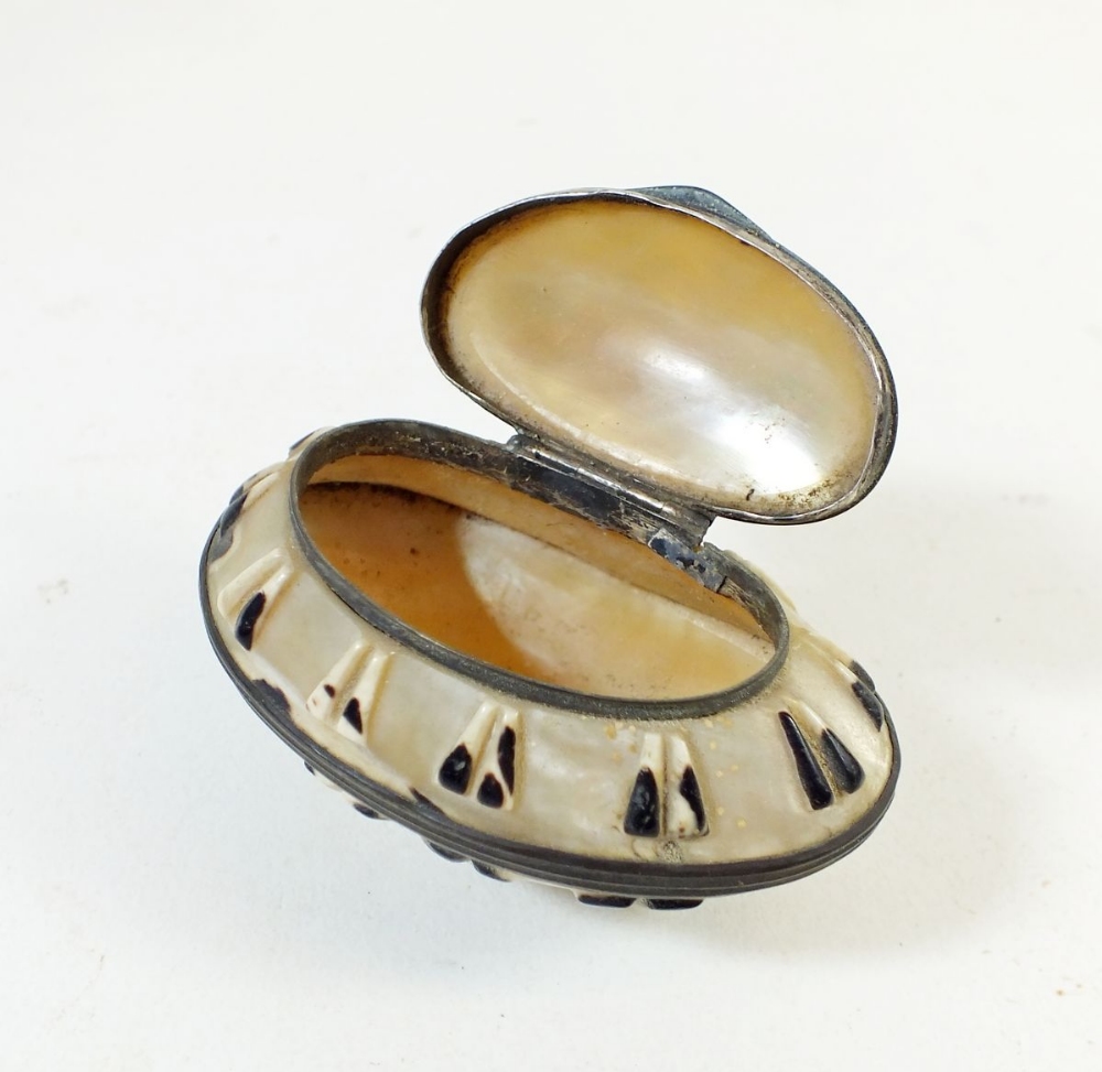 Shell Snuff Box England A 19th century carved shell snuff box