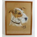 A pastel of a terrier, monogrammed EAG - 33 x 26cm