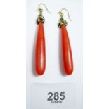 A pair of large 19th century coral drop earrings with gold mounts - 5.5cm drop