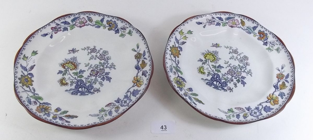 A pair of Victorian Mason's Ironstone plates 'Swansea'