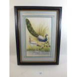 A Persian watercolour of peacocks - 27 x 17cm