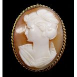 A shell cameo brooch in 9 carat gold frame - 4 cm high.