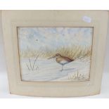 Richard Harrison - watercolour coastal wader amongst the reeds - 27 x 35cm, unframed