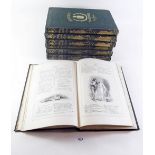 Seven volumes Shakespeare Illustrated by Kenny Meadows - Revised Edition