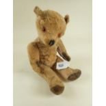 An early 20th century gold plush jointed teddy bear with glass eyes, velvet paws and stitched