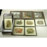 Eight bird prints - 17 x 23cm and three hunting prints