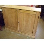 A 19th century pine two door cupboard 124 cm x 35cm