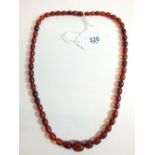 A string of amber beads, 24g, 56cm long