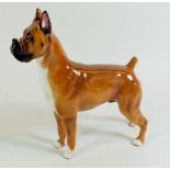 A Royal Doulton Boxer dog figure 'War Lord Mazerlaine' HN2634