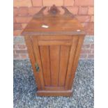 An Edwardian mahogany pot cupboard