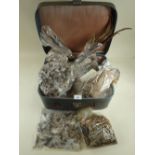 A vintage case containing a quantity of birds feathers - for use in taxidermy repair
