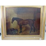 Walter Harrowing - oil on canvas horse in a stable, signed, 55 x 68cm