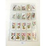 A set of 50 Wills cigarette cards of British Birds and a set of 50 John Player Boy Scout and Girl