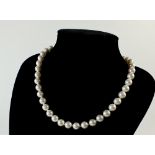 A string of pearls with 14 ct gold clasp