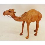 A large skin covered model camel