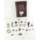 A selection of military cap badges etc